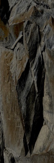 J9228108-Silhouette contemporaine