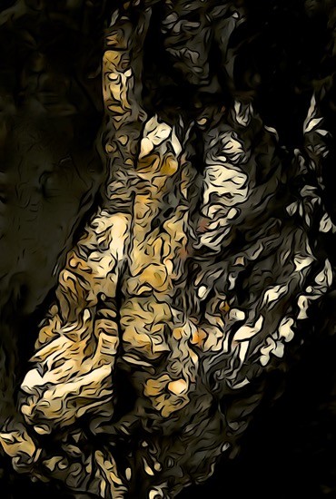J9228232-Shaman...