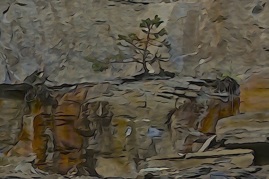 J9228399-Jardin miniature