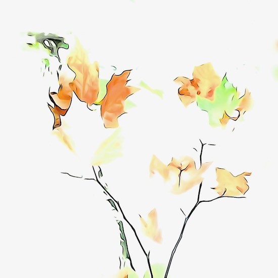 Ja240003-Bouquet d'automne