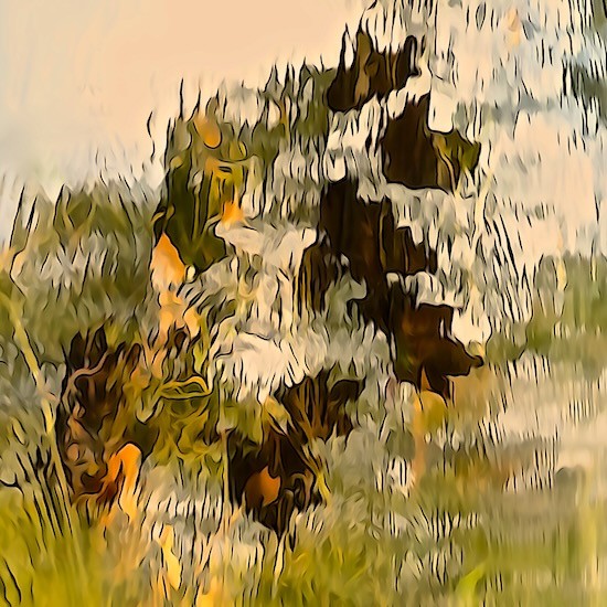 Ja240021-Feuilles flottantes
