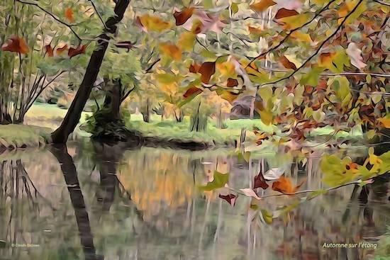 Ja240090t-Automne sur l'étang
