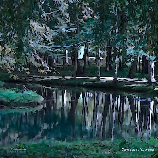 Ja249973t-Danse avec les arbres