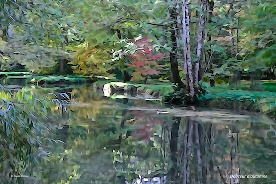 Ja249976t-Douceur d'automne