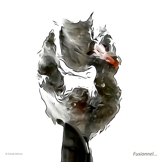 Jc091590t-Fusionnel