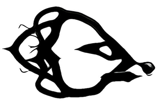 K4285392-Lyre de profil !