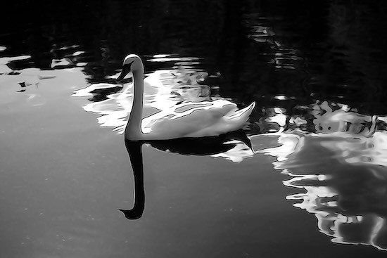 K4285726-Yin et Yang