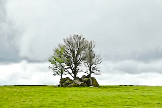 K5026220-Solitaire...