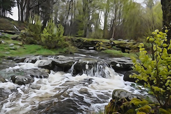 K5026242-Poésie en forêt