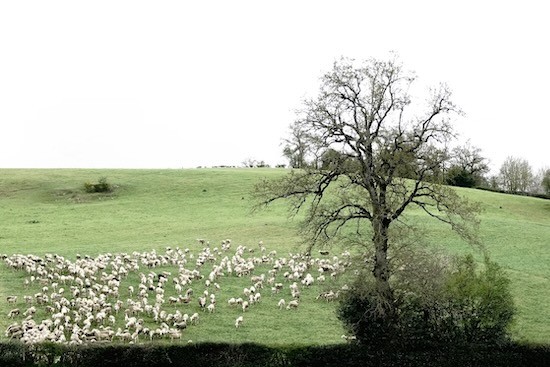 K5046475-La France profonde !