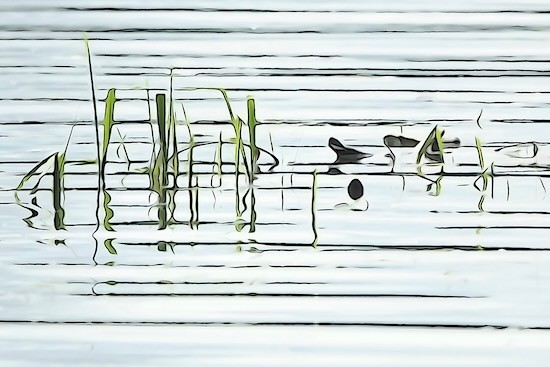K5216762-Trois petites notes de musique...