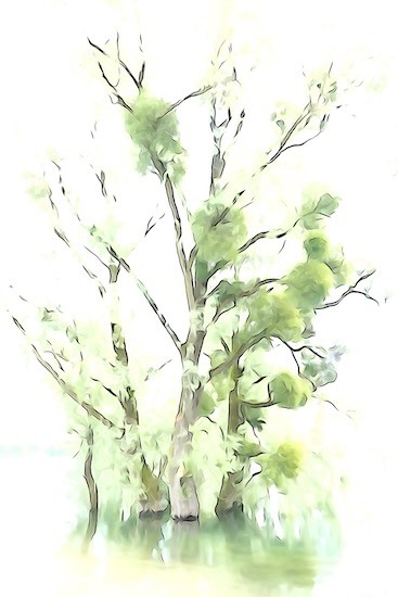 K5216792-Elégante aquarelle