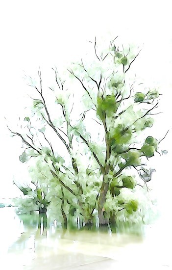 K5216817-Aquarelle au Lac d'Orient