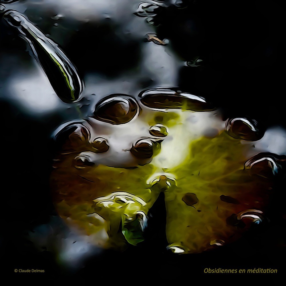 K6287606t-Obsidiennes en méditation