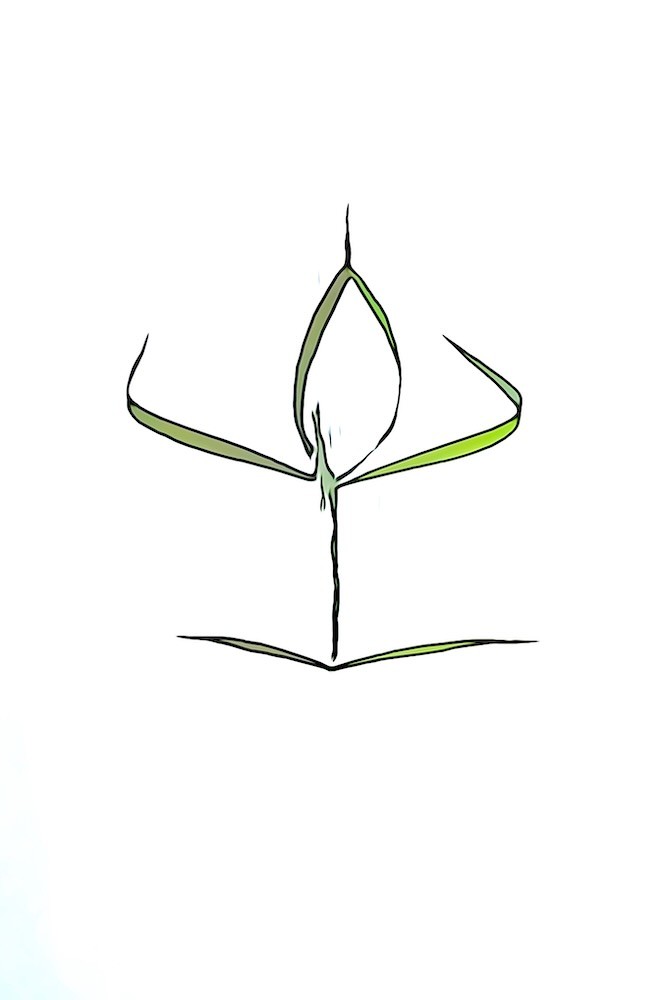 K7018215-Yogini