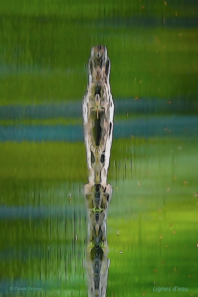 K8110771t-Lignes d'eau