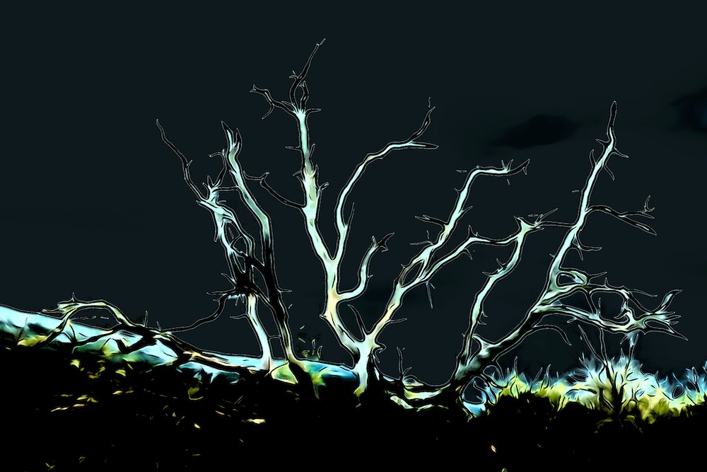 L4209168 1-Chemin de Lumière...