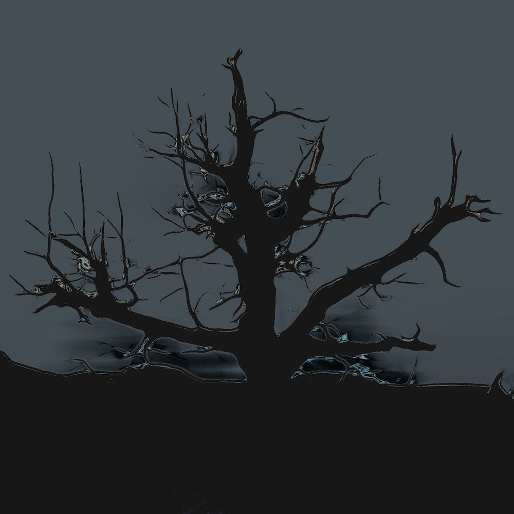 L4209199 2-Nocturnes...