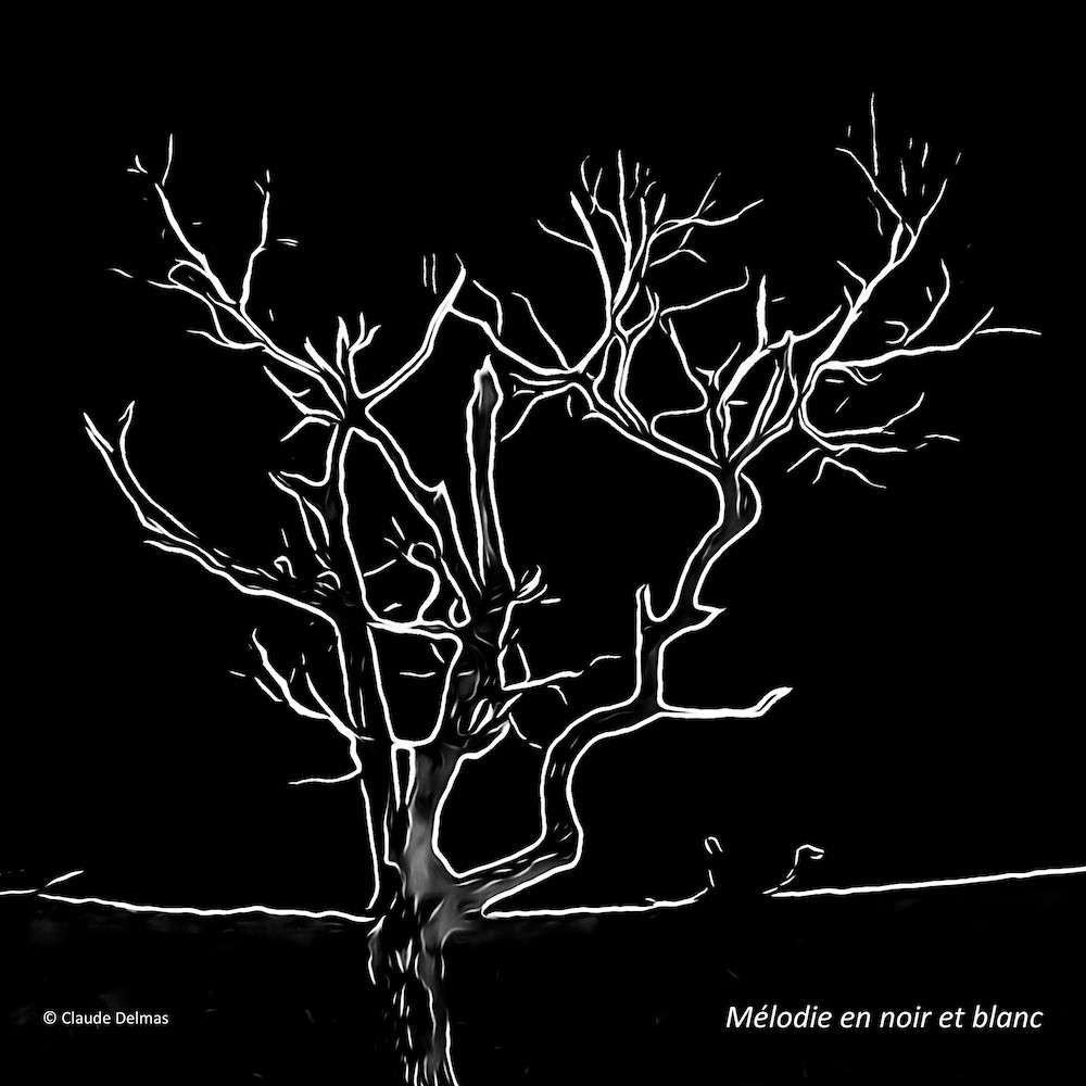 L4209268t-Mélodie en noir et blanc