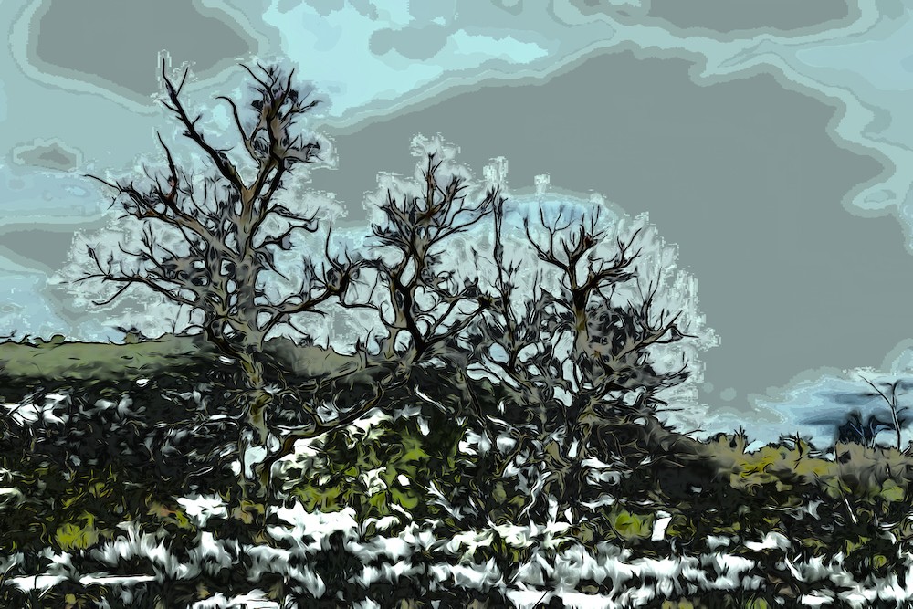 L4209299 1-L'autre Monde !