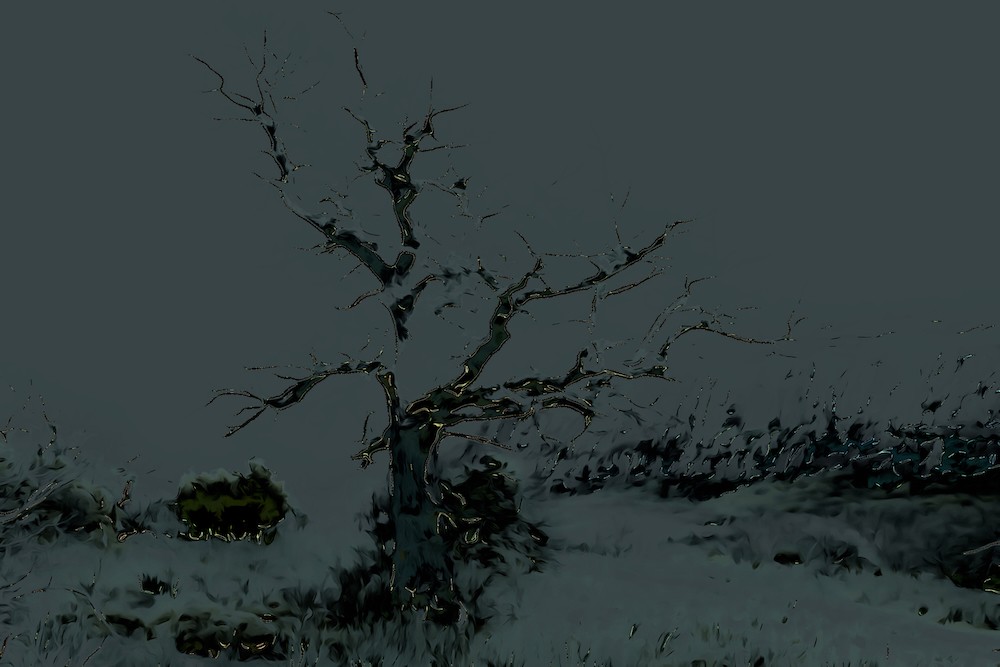 L4209303 1-Lucioles