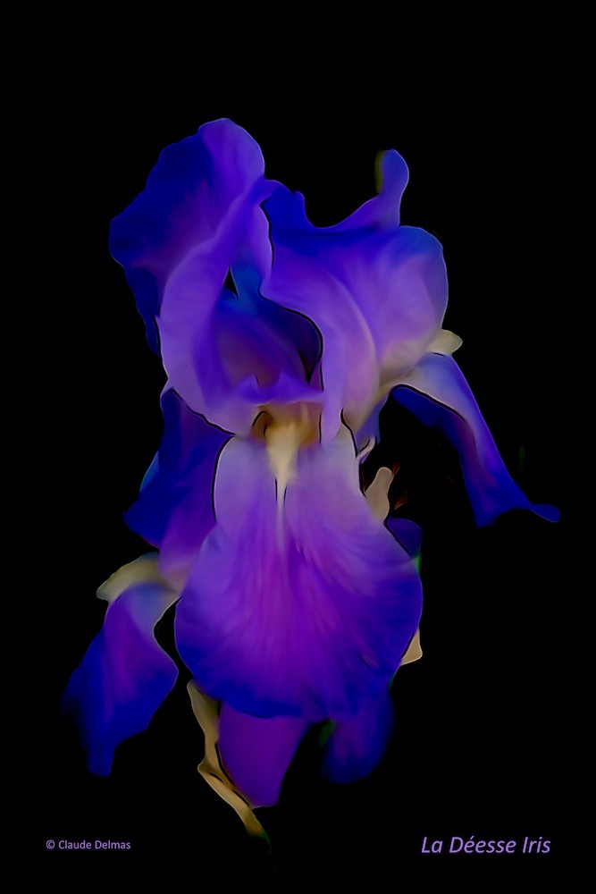L5179487t-La Déesse Iris