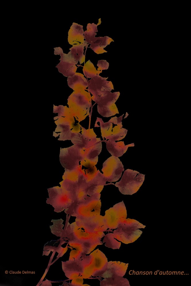 M8149673t-Chanson d'automne...